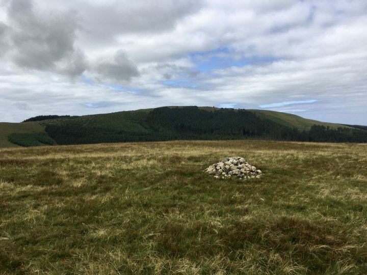 Flat Fell / Dent