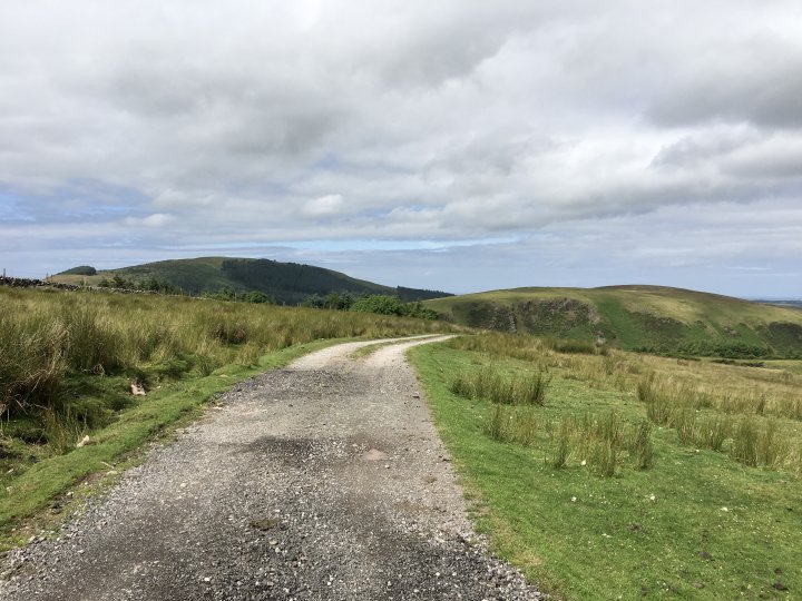 Flat Fell / Dent