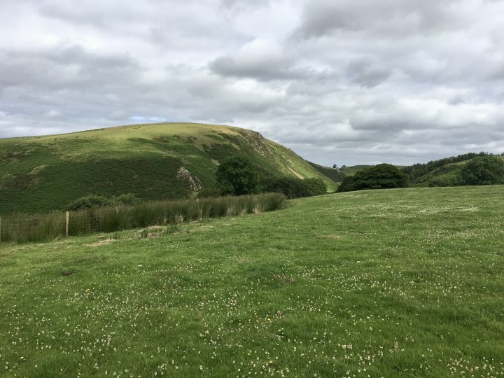 Flat Fell / Dent