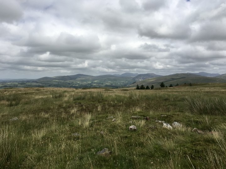 Flat Fell / Dent