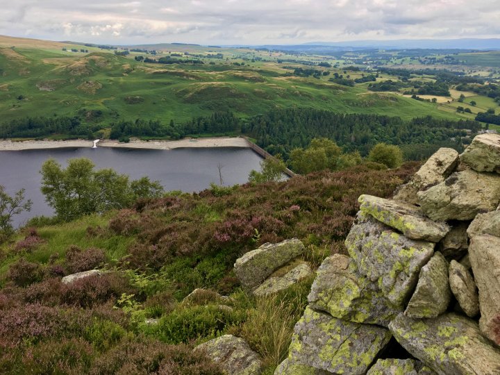 Naddle Horseshoe - 3 / Hugh's Laithes Pike / Wallow Crag / Naddle High Forest / Hare Shaw / Harper Hills / Scalebarrow Knott