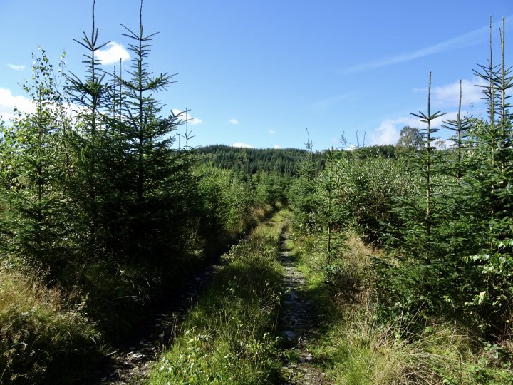 Latterbarrow / Claife Heights
