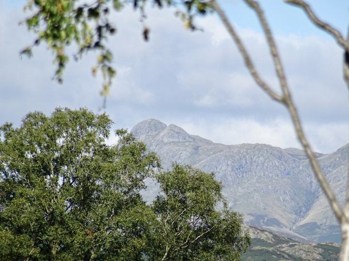 Latterbarrow / Claife Heights