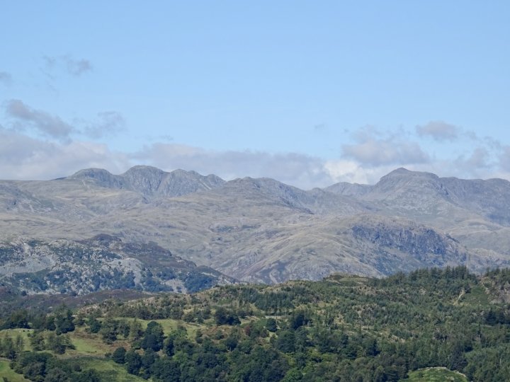 Latterbarrow / Claife Heights