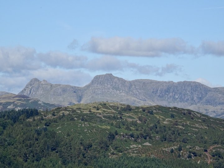 Latterbarrow / Claife Heights