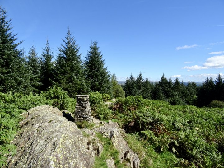 Latterbarrow / Claife Heights