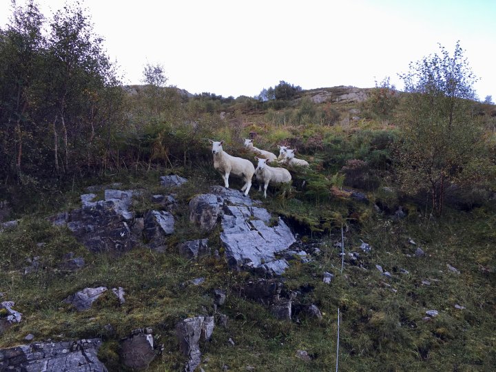Ullapool To Croick