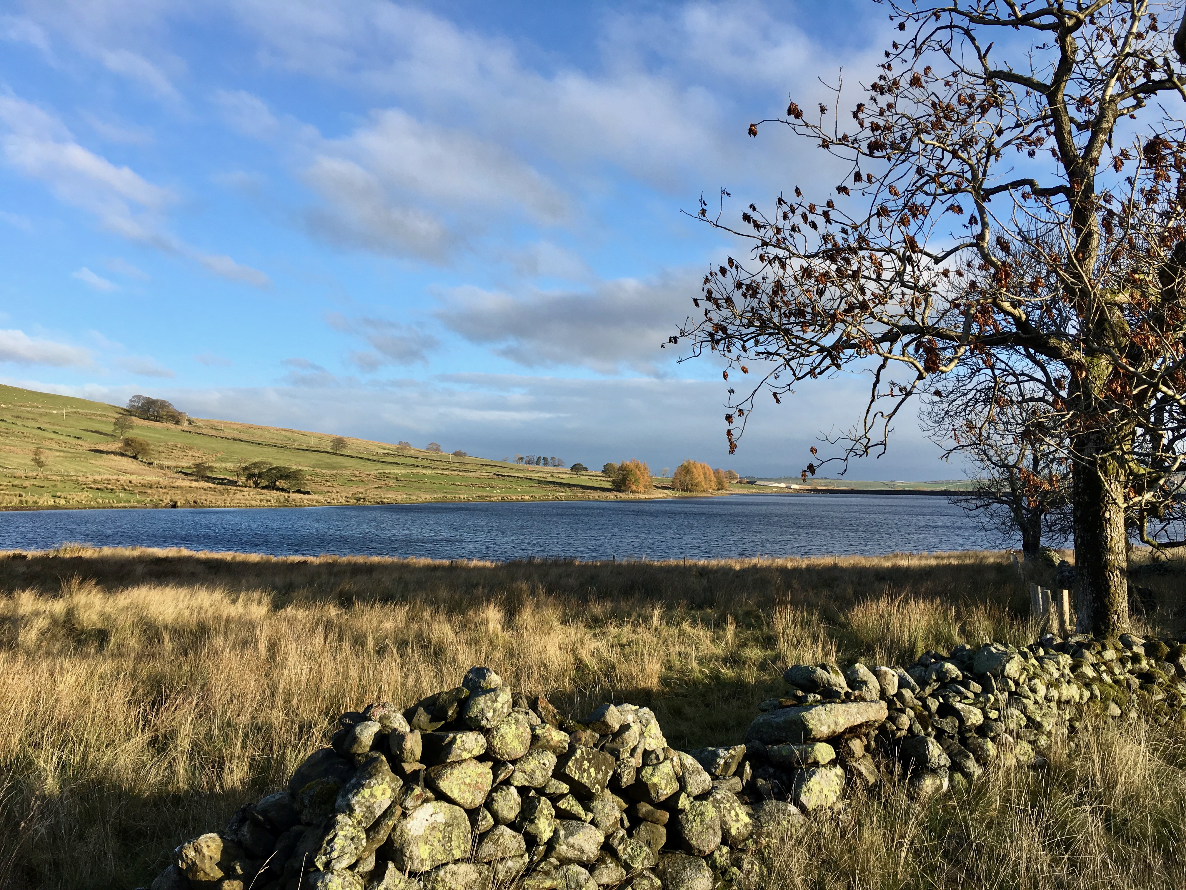 Ulthwaite Rigg / Great Saddle Crag / Little Yarlside / Great Yarlside / Wasdale Pike / Sleddale Pike