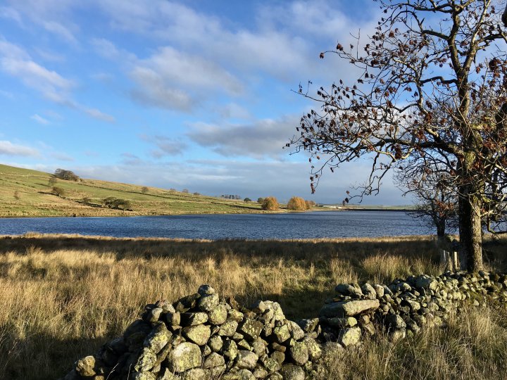 Ulthwaite Rigg / Great Saddle Crag / Little Yarlside / Great Yarlside / Wasdale Pike / Sleddale Pike