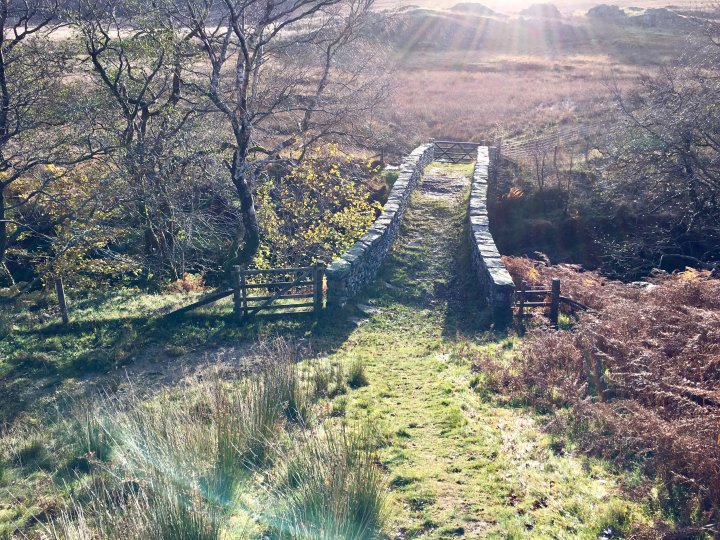Ulthwaite Rigg / Great Saddle Crag / Little Yarlside / Great Yarlside / Wasdale Pike / Sleddale Pike