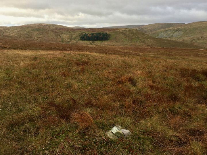 Ulthwaite Rigg / Great Saddle Crag / Little Yarlside / Great Yarlside / Wasdale Pike / Sleddale Pike