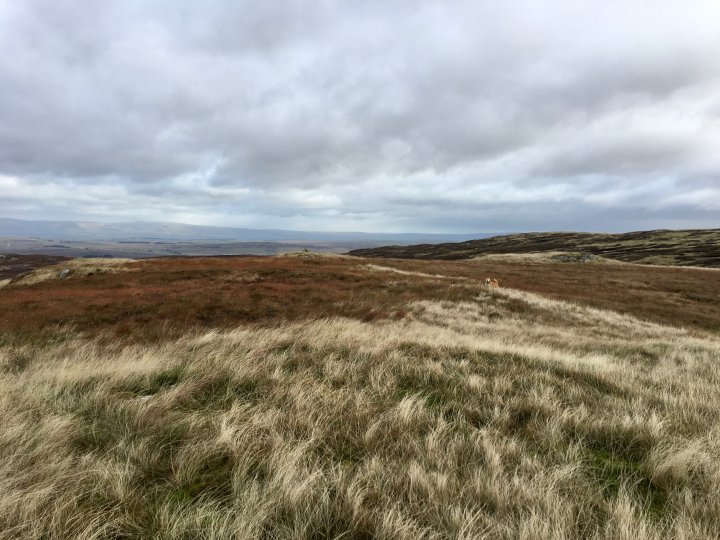 Ulthwaite Rigg / Great Saddle Crag / Little Yarlside / Great Yarlside / Wasdale Pike / Sleddale Pike