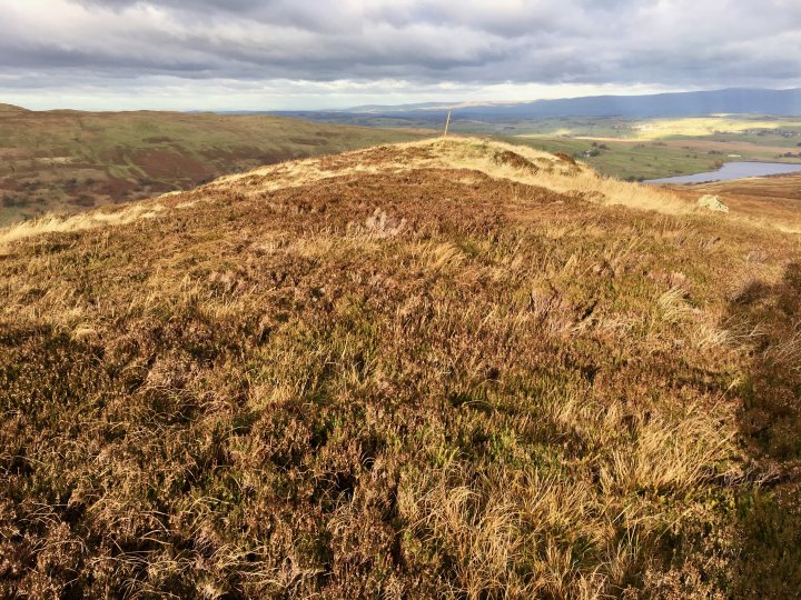 Ulthwaite Rigg / Great Saddle Crag / Little Yarlside / Great Yarlside / Wasdale Pike / Sleddale Pike