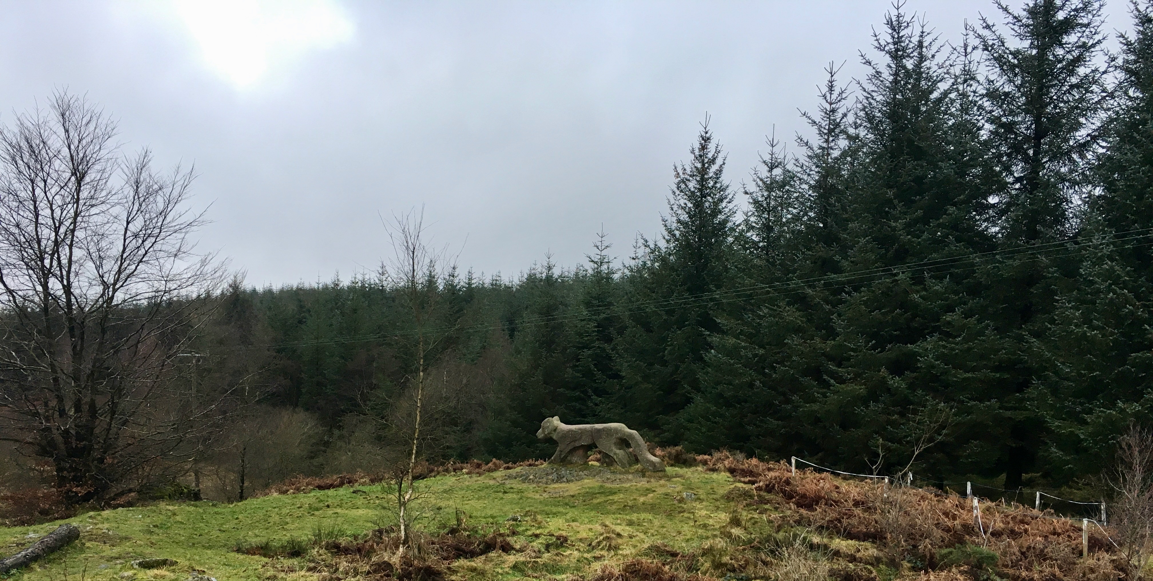 Grizedale Forest