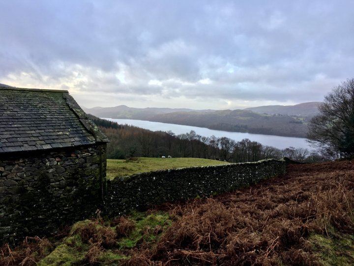 Grizedale Forest