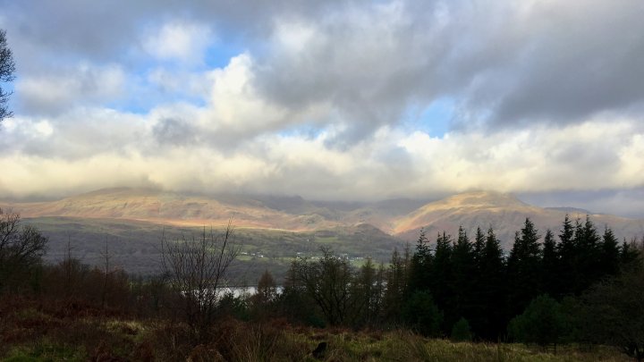 Grizedale Forest