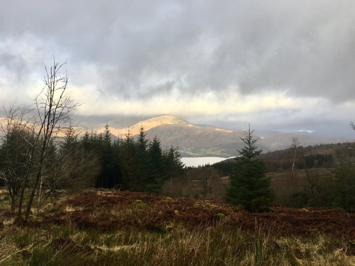 Grizedale Forest