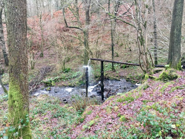 Grizedale Forest