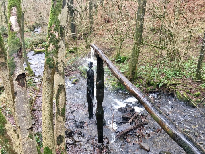 Grizedale Forest