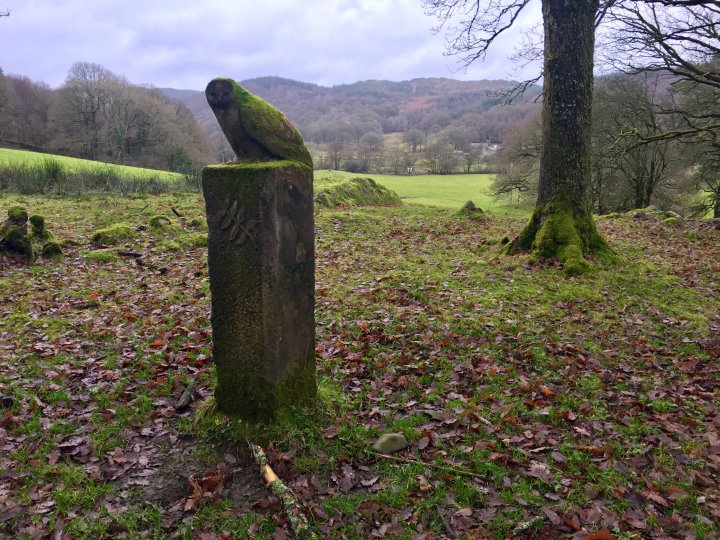 Grizedale Forest