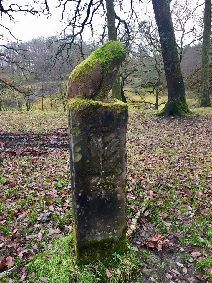 Grizedale Forest