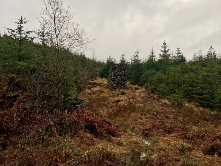 Grizedale Forest