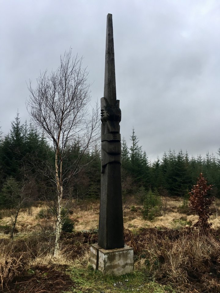 Grizedale Forest