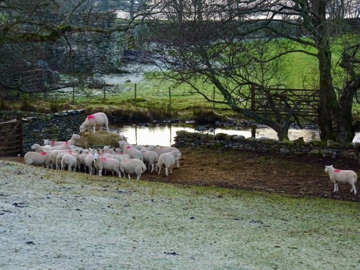 Ullswater Way