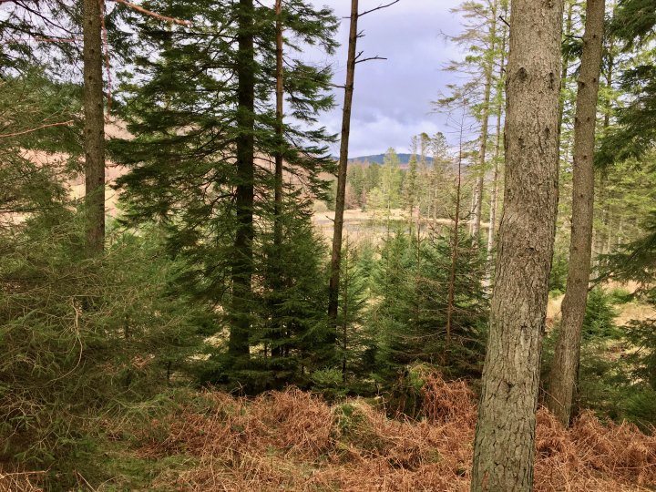 Top o'Selside (Wainwright Summit)