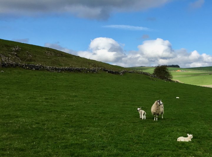 Six Dales Circuit