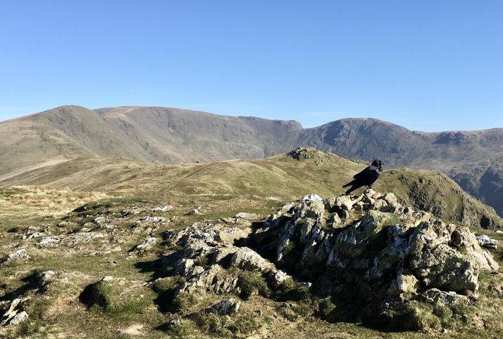 Nab Scar / Heron Pike (Rydal) / Great Rigg / Fairfield / Hart Crag / Dove Crag / High Pike (Scandale) / Low Pike