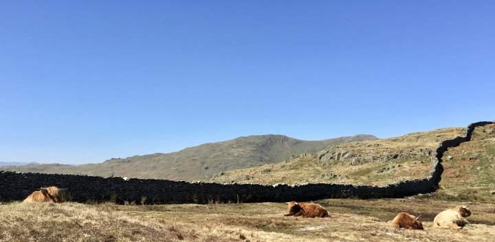 Nab Scar / Heron Pike (Rydal) / Great Rigg / Fairfield / Hart Crag / Dove Crag / High Pike (Scandale) / Low Pike