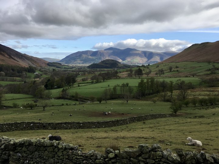 Cat Bells / Maiden Moor / High Spy / Dale Head / Hindscarth / Robinson