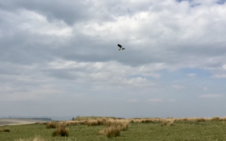 Coast To Coast - Day 07/14 - Tebay To Kirkby Stephen