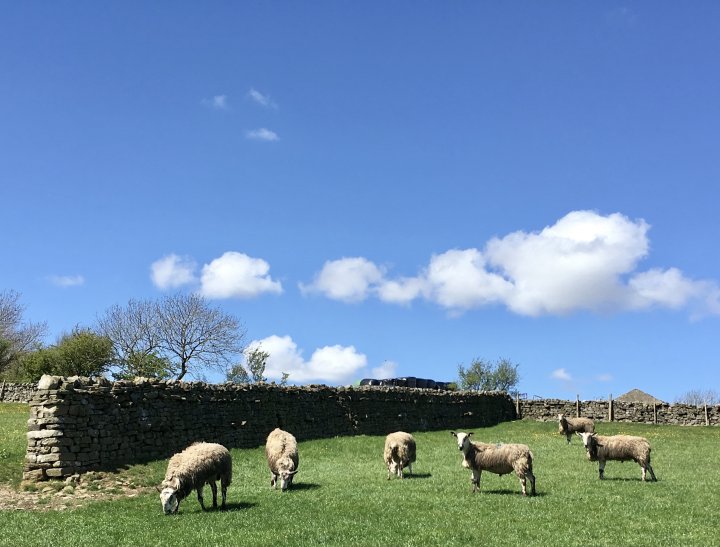 Coast To Coast - Day 09/14 - Keld To Reeth