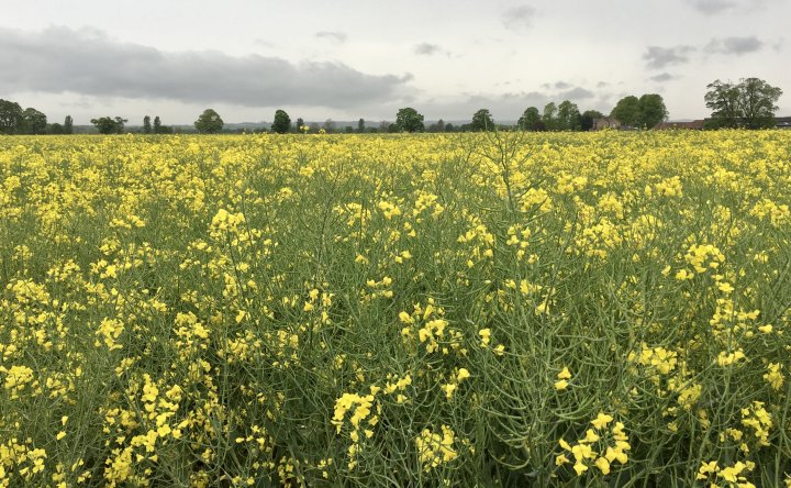Coast To Coast - Day 11/14 - Richmond To Osmotherley