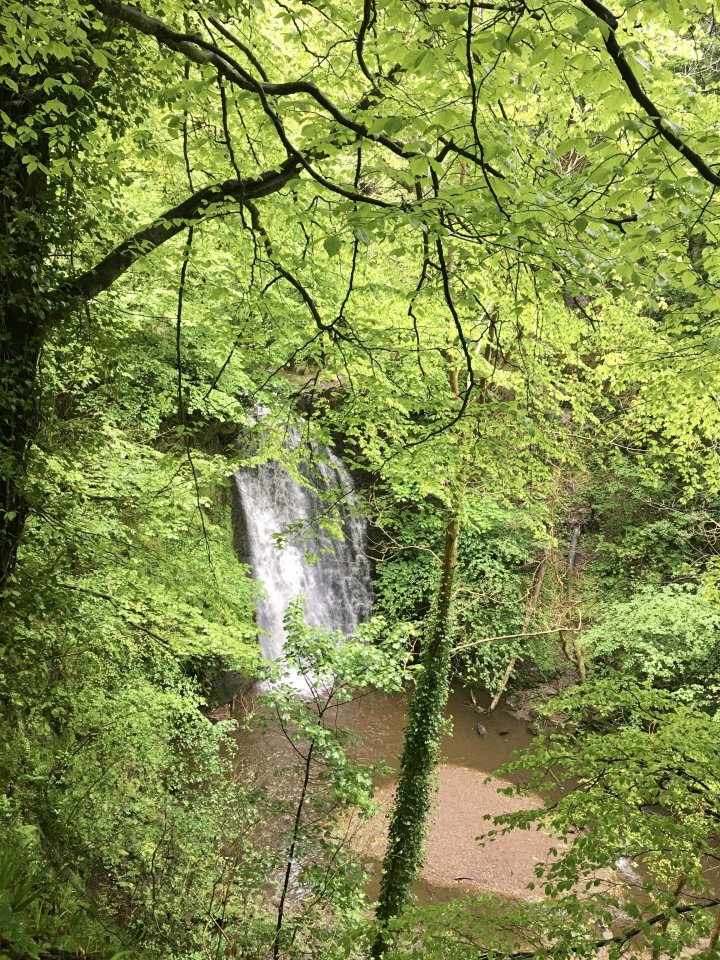 Coast To Coast - Day 14/14 - Glaisdale To Robin Hood's Bay