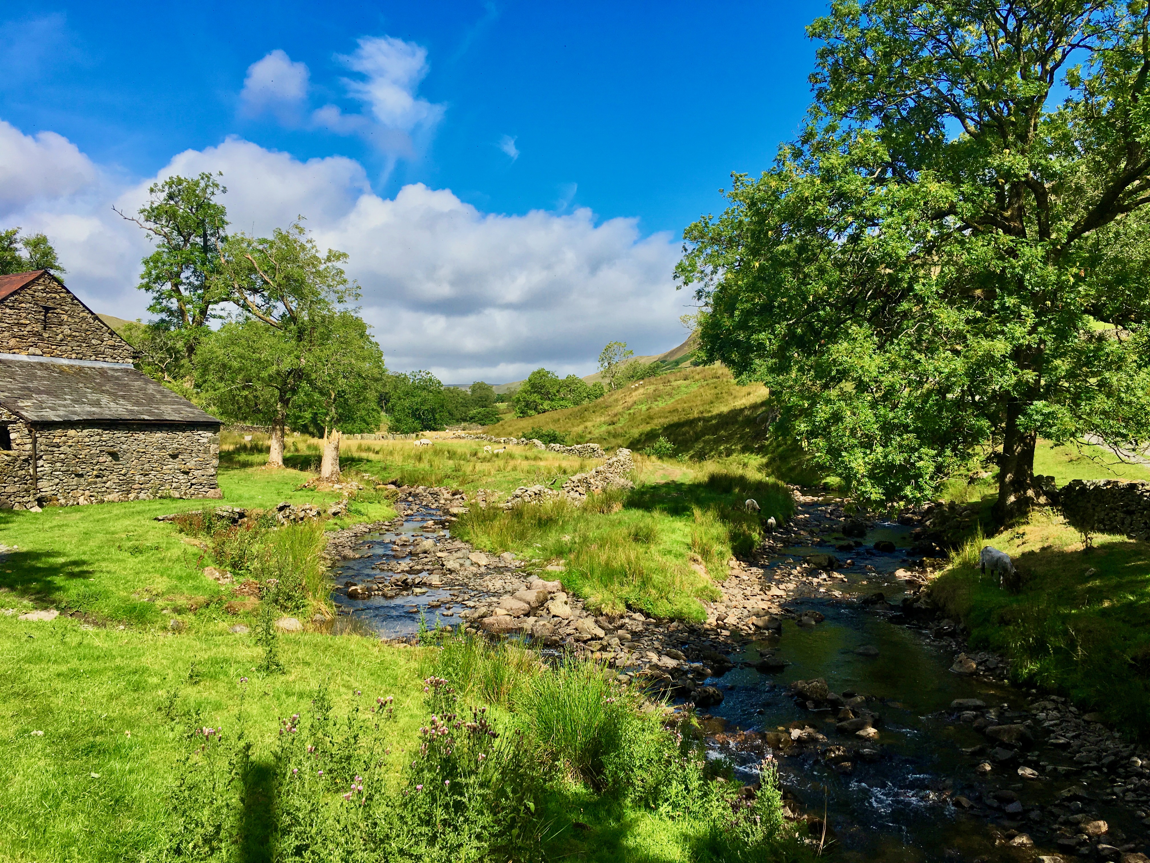 High House Bank / Whatshaw Common / Robin Hood / Lord's Seat (Crookdale)