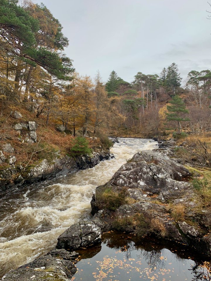 Glencanisp