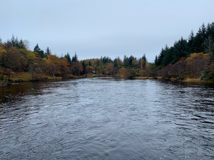 Glencanisp