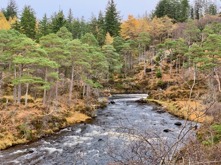 Glencanisp