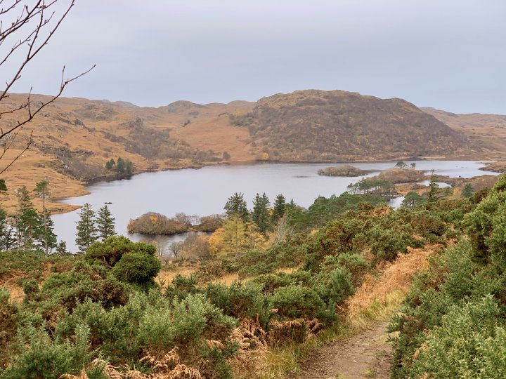 Glencanisp