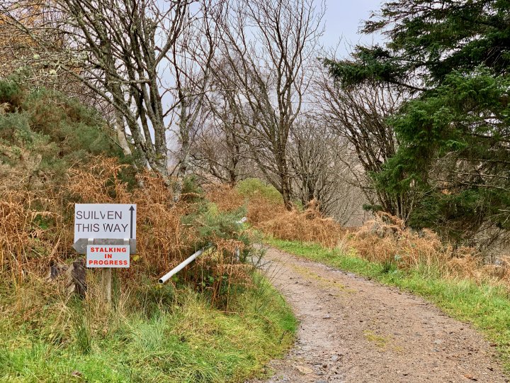 Glencanisp