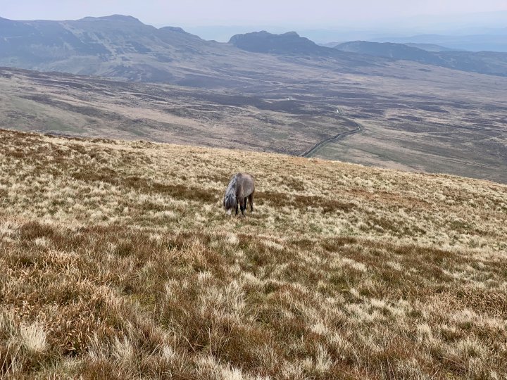 Pen yr Ole Wen / Carnedd Dafydd / Carnedd Llewelyn / Pen yr Helgi Du