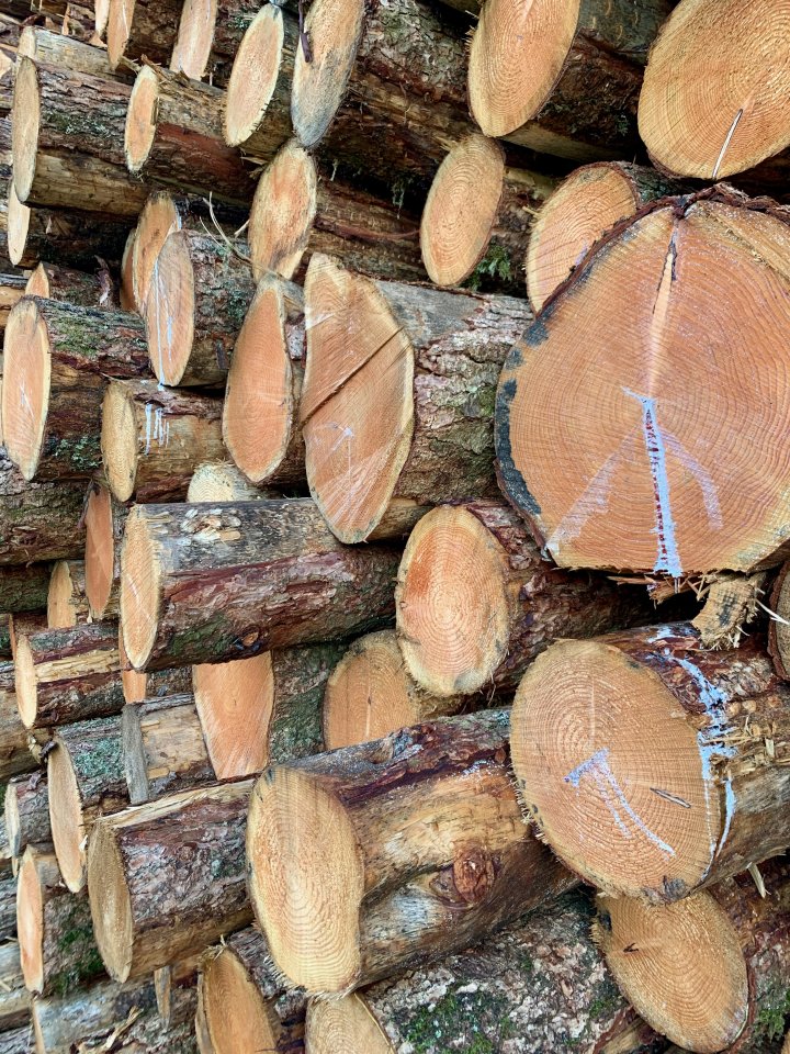 Grike / Crag Fell / Lank Rigg / Iron Crag / Caw Fell / Haycock / Scoat Fell / Steeple