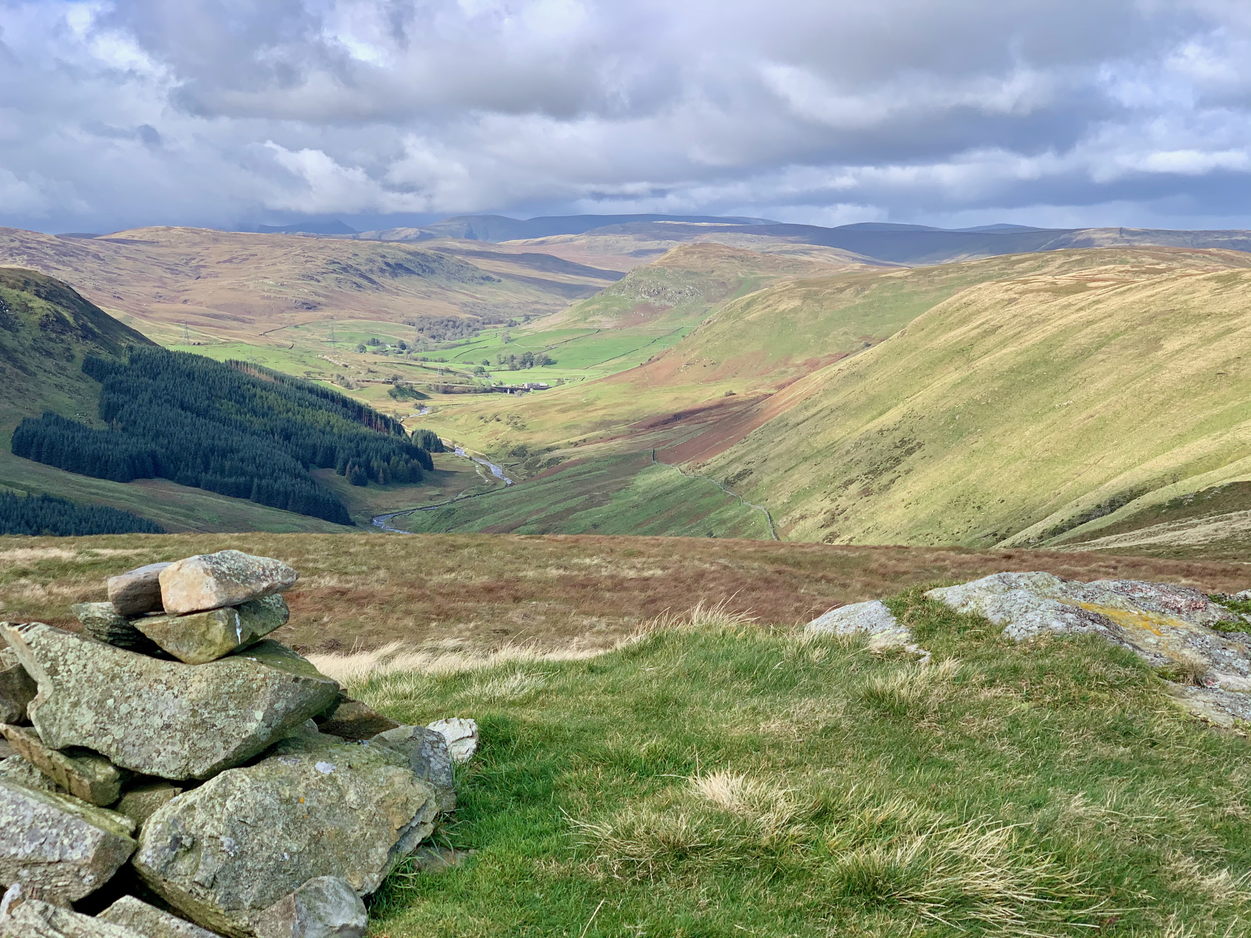 Grayrigg Forest / Whinfell Beacon / Winterscleugh