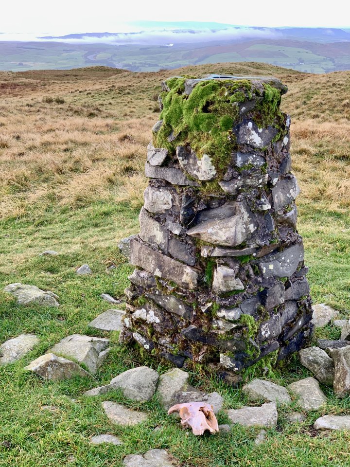 Grayrigg Forest / Whinfell Beacon / Winterscleugh