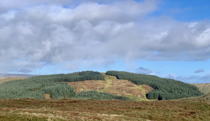 Grayrigg Forest / Whinfell Beacon / Winterscleugh