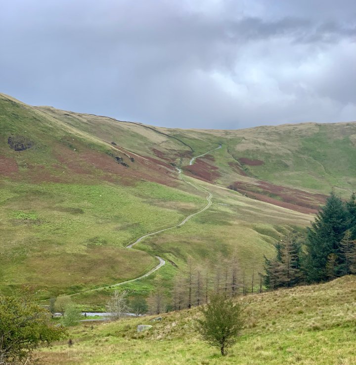 Grayrigg Forest / Whinfell Beacon / Winterscleugh