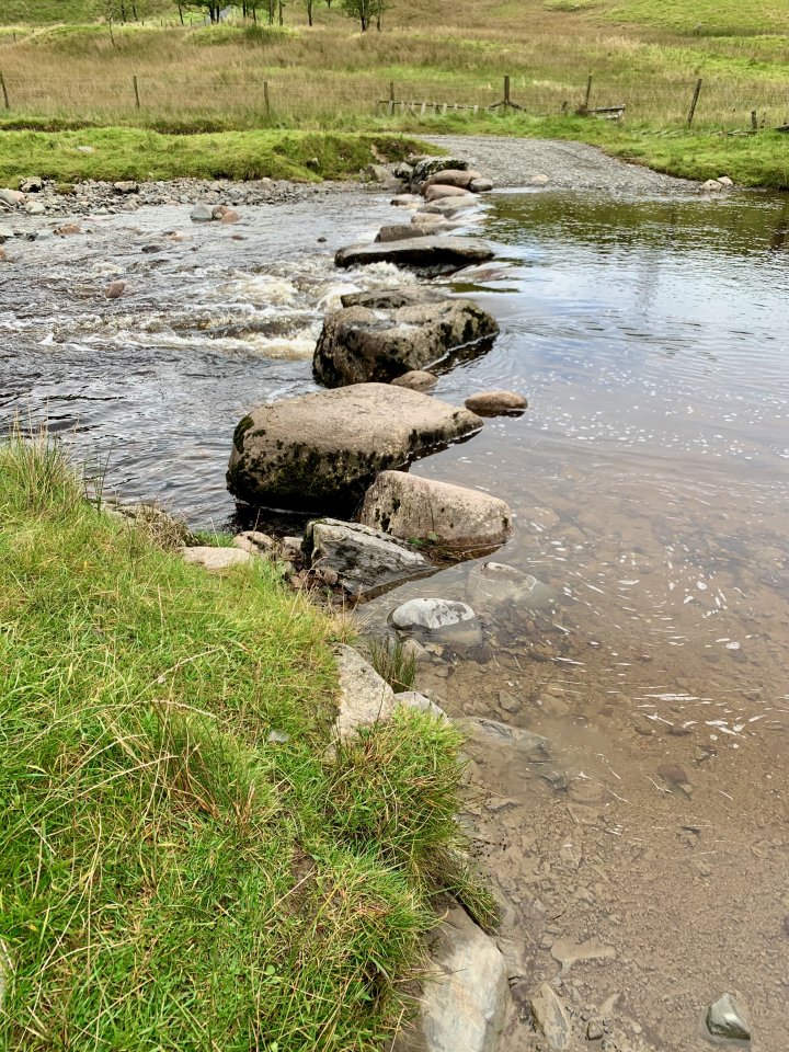 Grayrigg Forest / Whinfell Beacon / Winterscleugh
